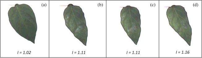 Figure 15.