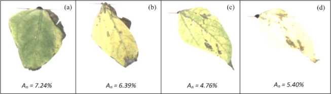 Figure 14.