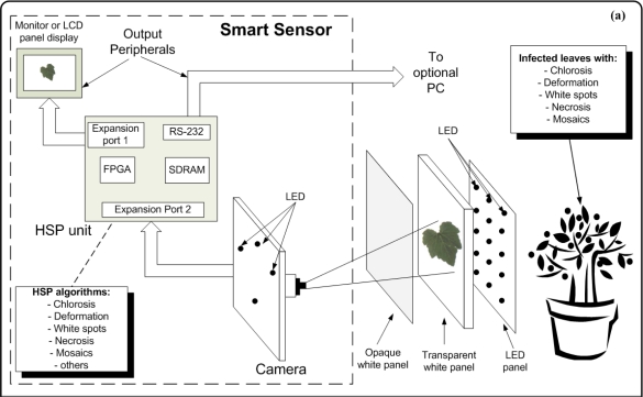 Figure 11.