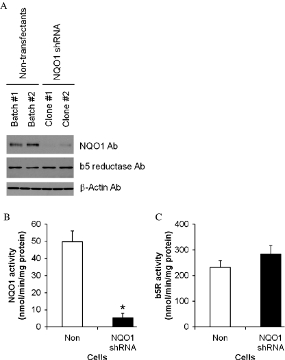 Fig. 5