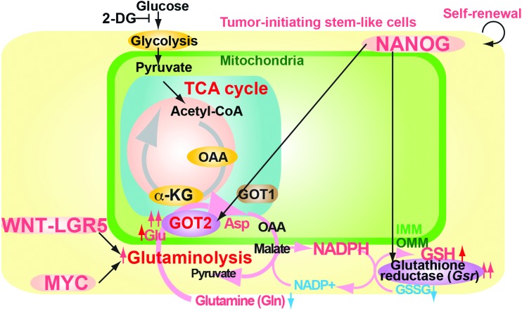 FIG. 8.