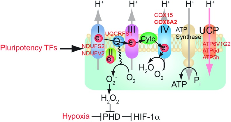 FIG. 3.