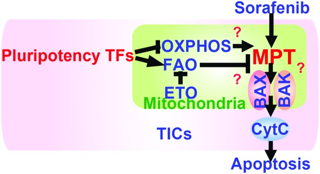 FIG. 7.