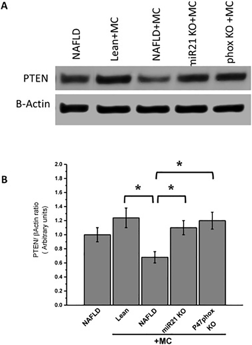 Fig 10.