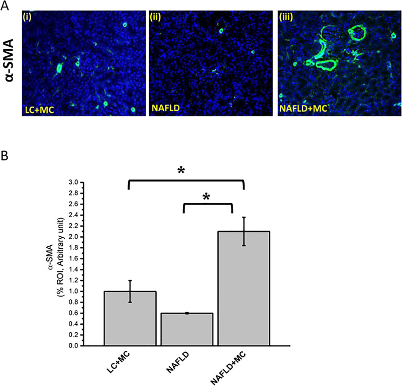 Fig 2: