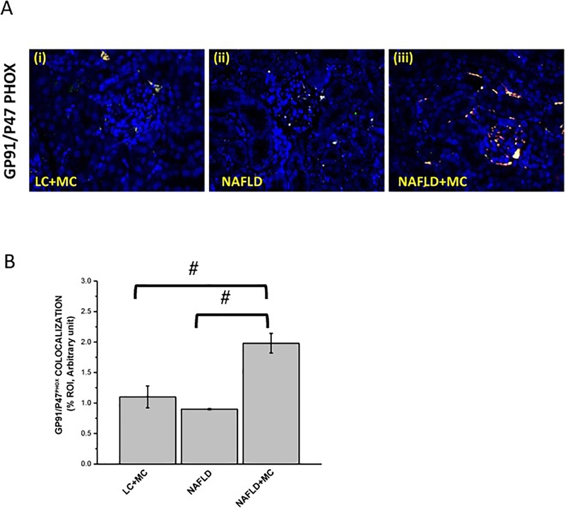 Fig 4: