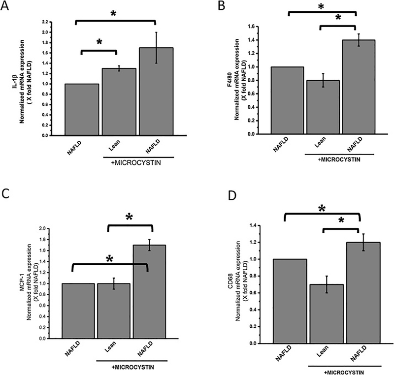 Fig 3: