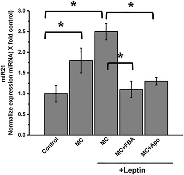 Fig 6: