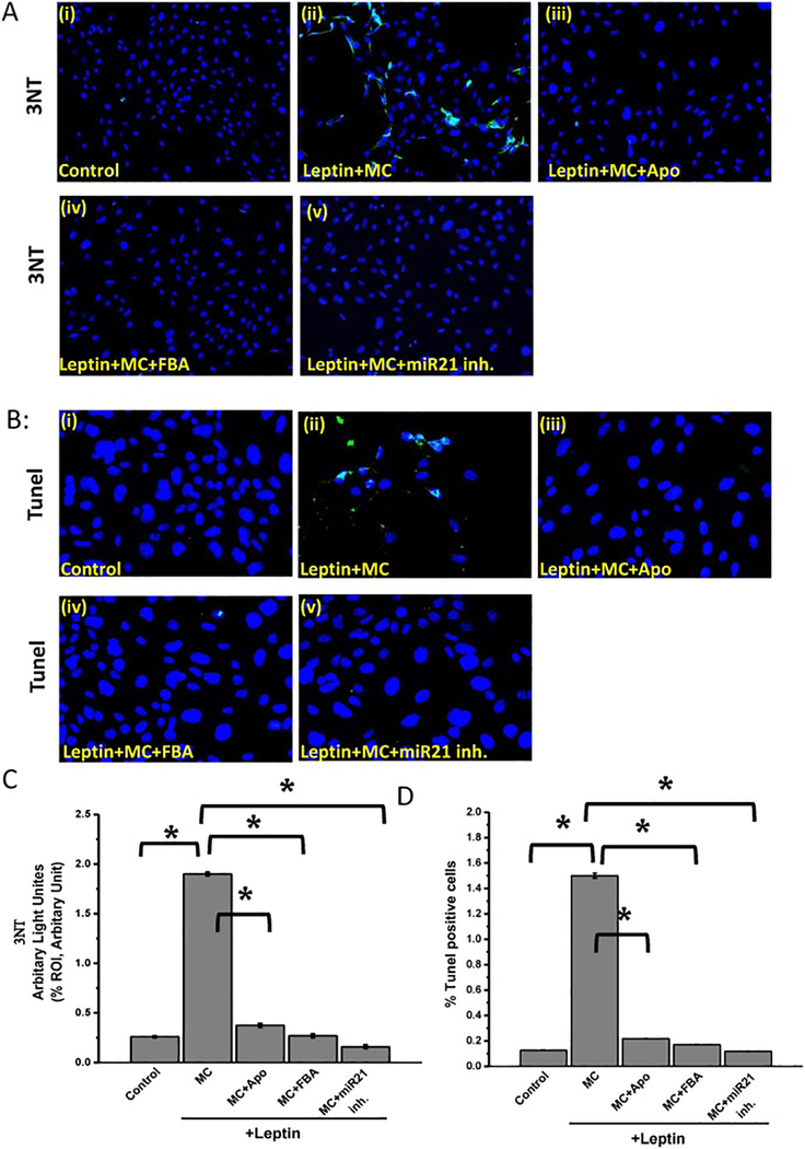 Fig 8: