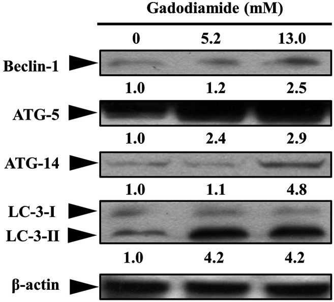 Figure 5