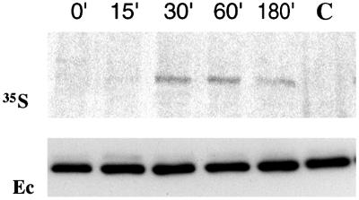 FIG. 8.