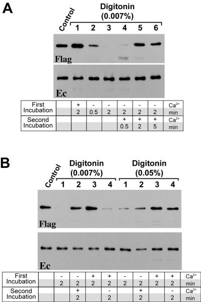 FIG. 5.