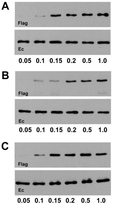 FIG. 6.