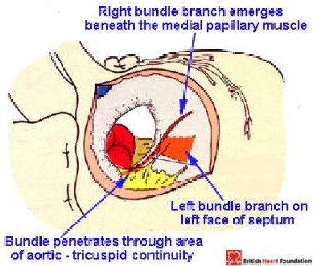 Figure 23