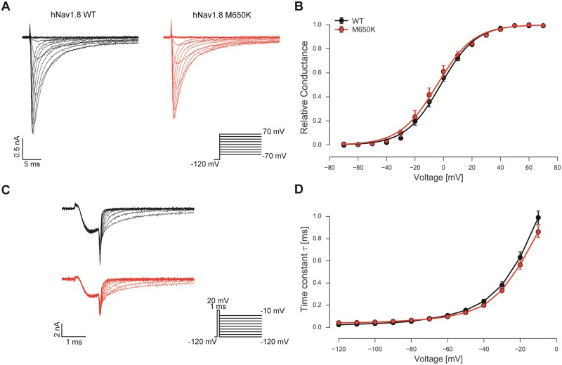 Fig 4