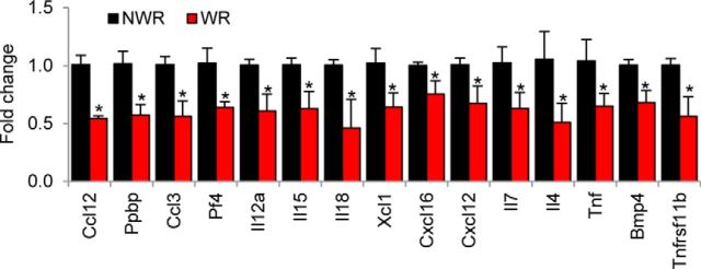 Figure 7.