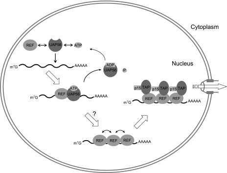 FIG. 6.