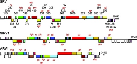 FIG. 5.