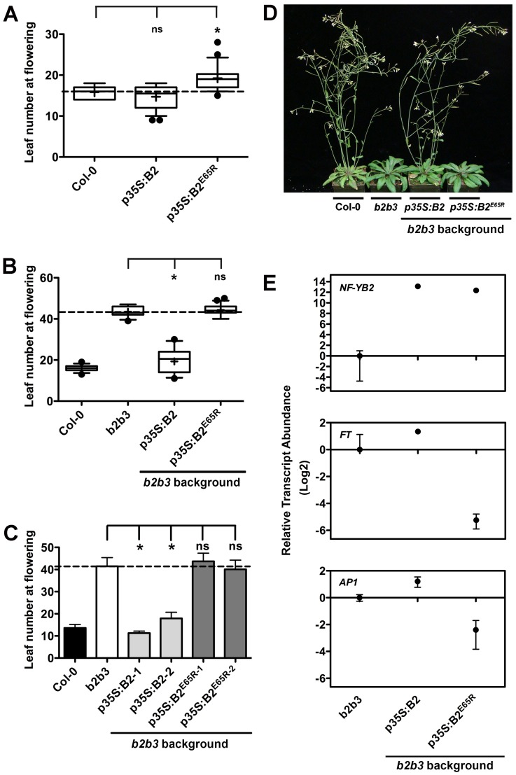 Fig 3