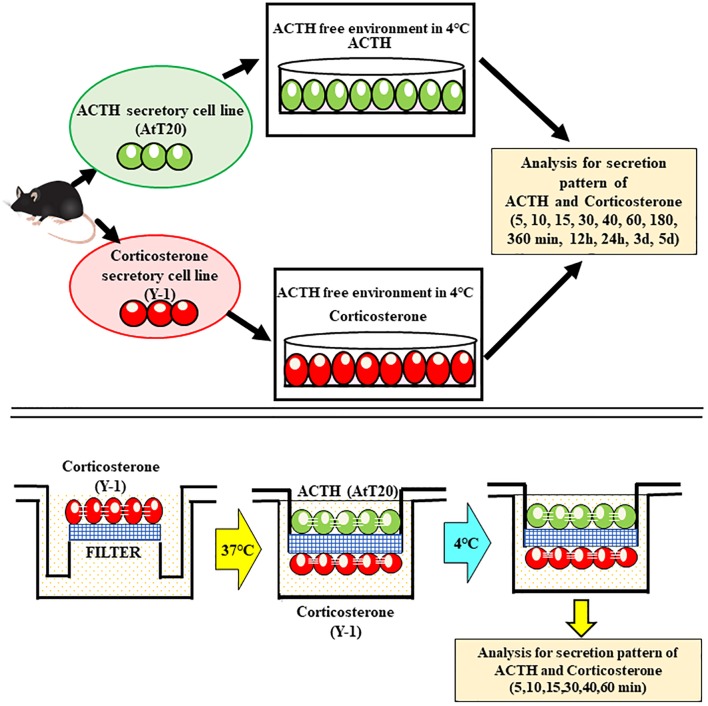 Fig 4