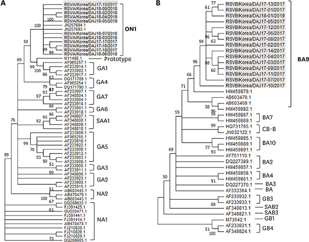 graphic file with name jkms-35-e422-abf001.jpg