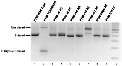 FIG. 5