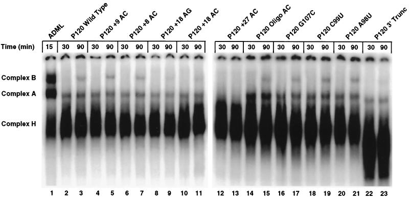 FIG. 8