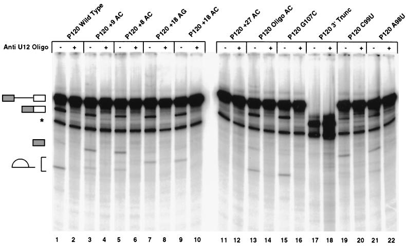 FIG. 6