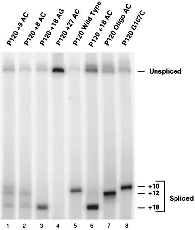 FIG. 7