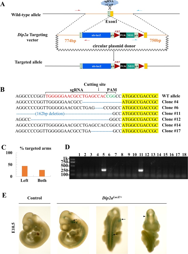 Fig 4