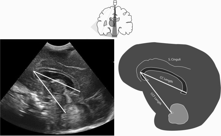 Fig 1.