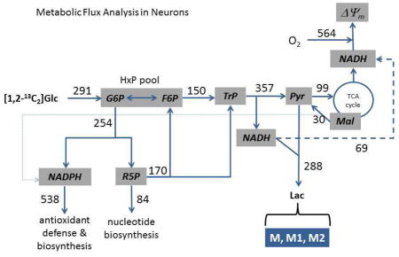 graphic file with name nihms751129u1.jpg