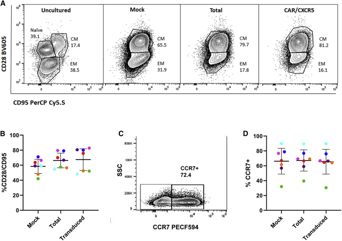 Figure 4