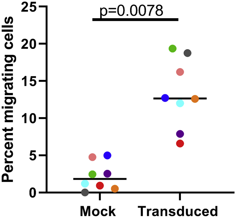 Figure 6