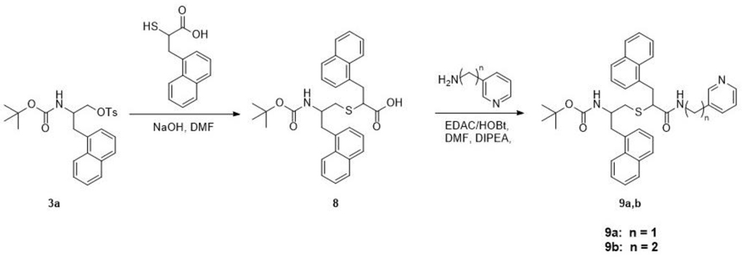 Scheme 4