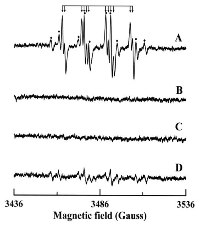 Fig. 5