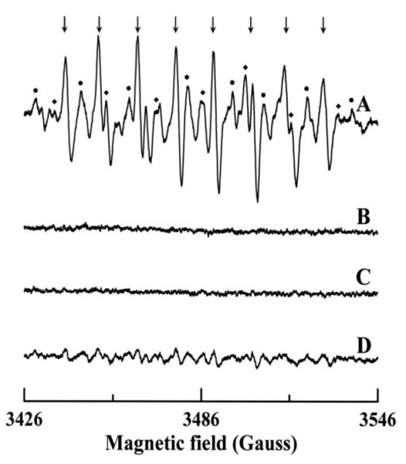 Fig. 8