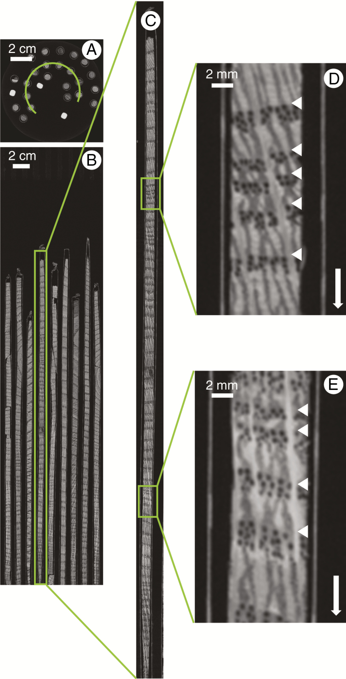 Fig. 2.