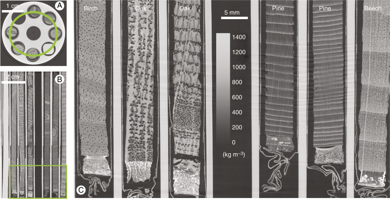 Fig. 4.