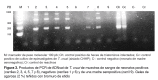 Figura 3.