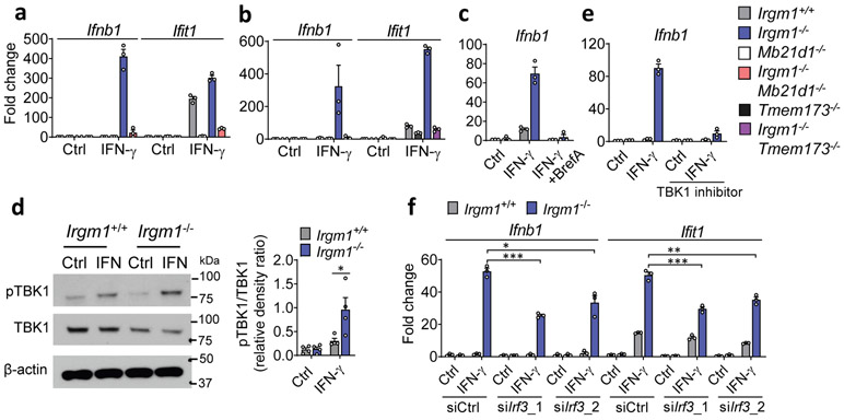 Figure 3: