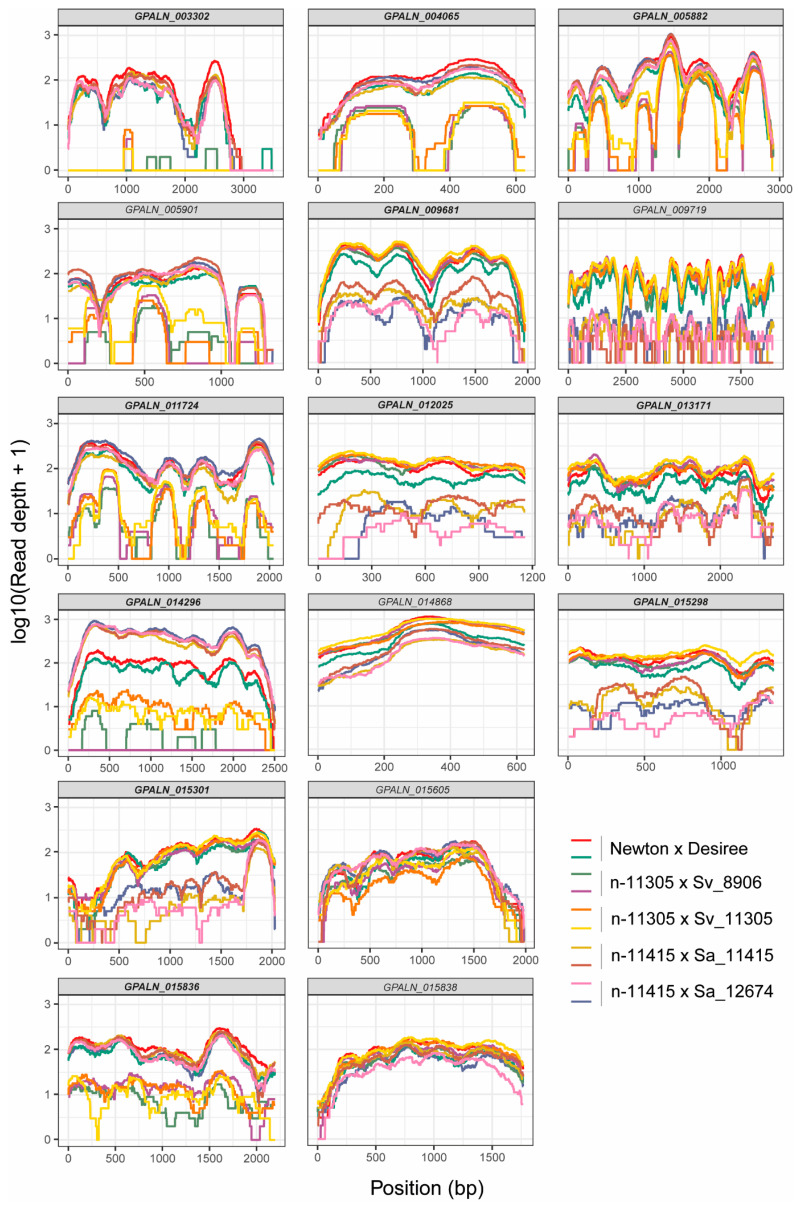 Figure 2