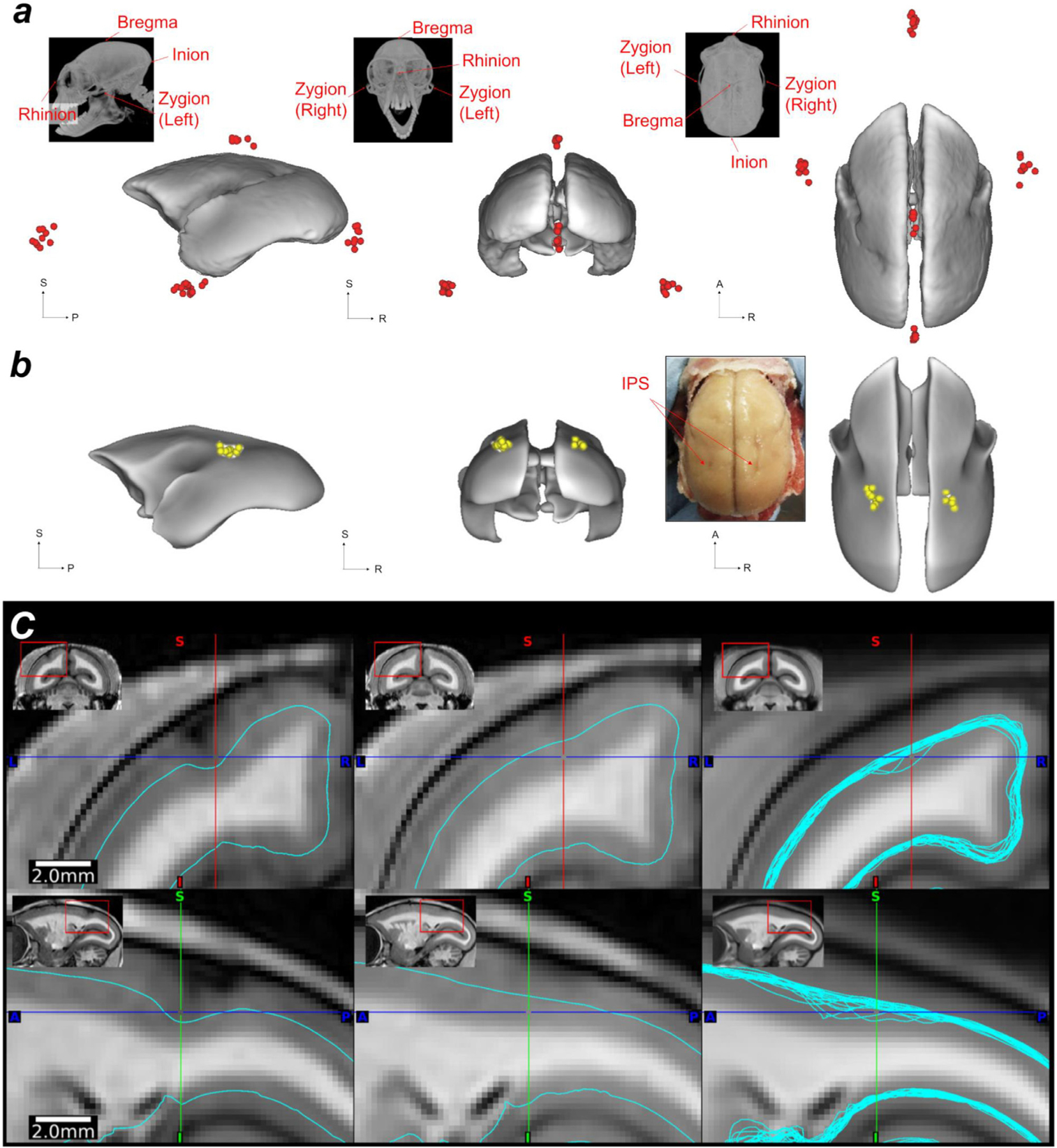 Fig. 7.