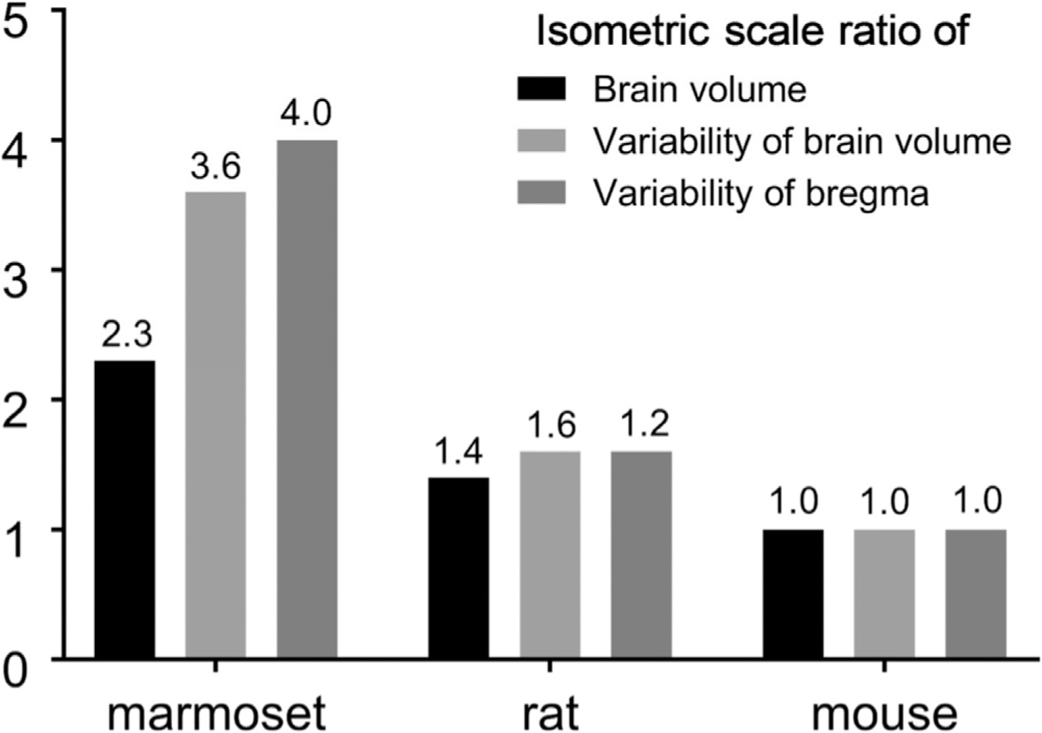 Fig. 11.