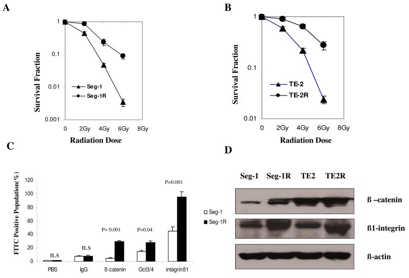 Fig.1