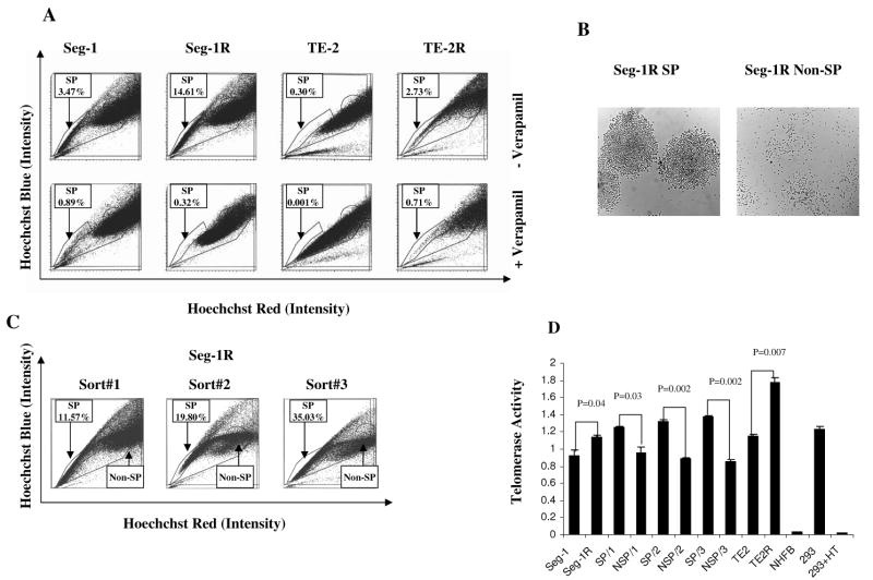 Fig.2