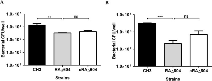 Fig 6