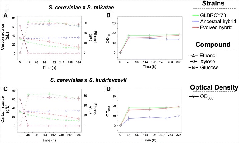 Fig. 4