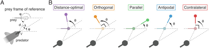 Fig. 1.