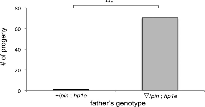 Figure 3—figure supplement 4.